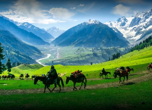 Kashmir
