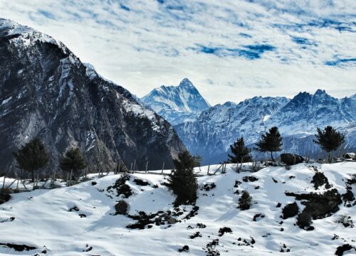 Auli & Joshimath