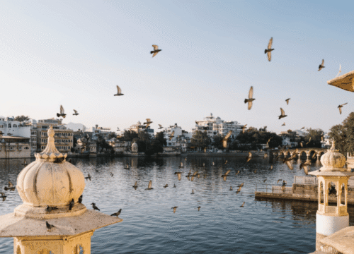 Rajasthan Backpacking From Delhi - Udaipur-Jodhpur-Jaisalmer