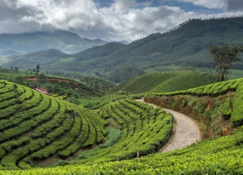 Weekend Escape to Kerala 3D2N